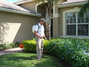 Pest Control Service in Fort Lauderdale, and Exterminator Service in Fort Lauderdale FL